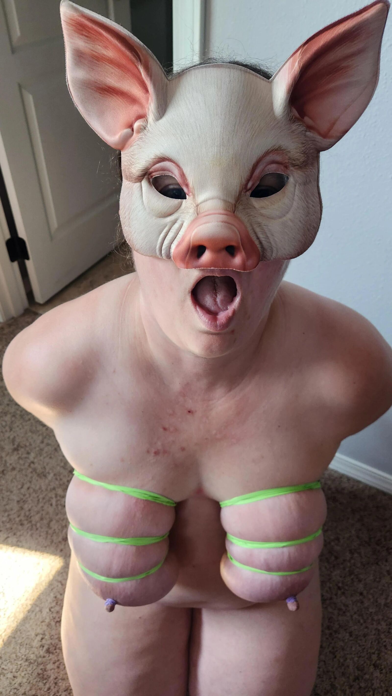 Fat bbw fuckpig