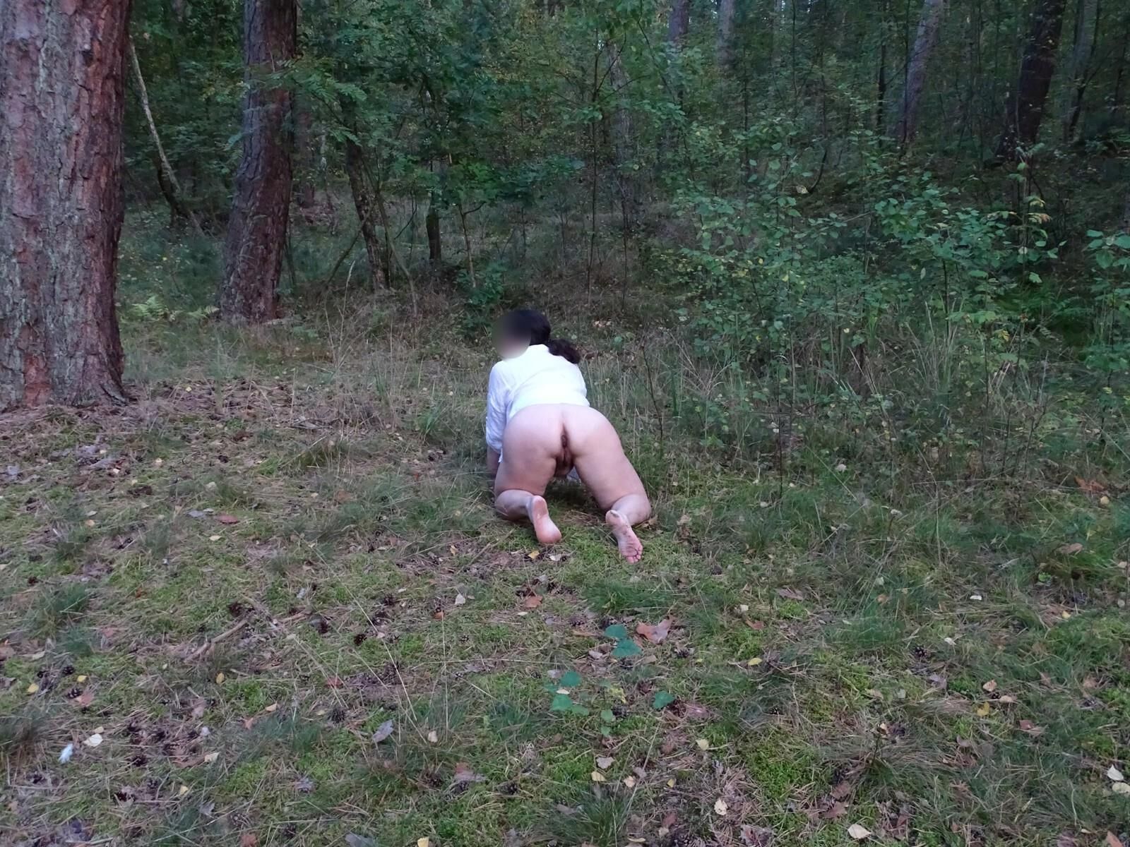 chubby bitch shits in the forest