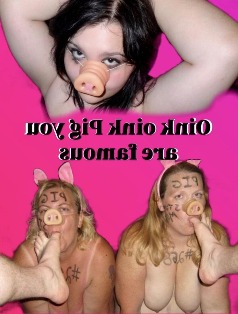 Mulheres que se parecem com PiGS