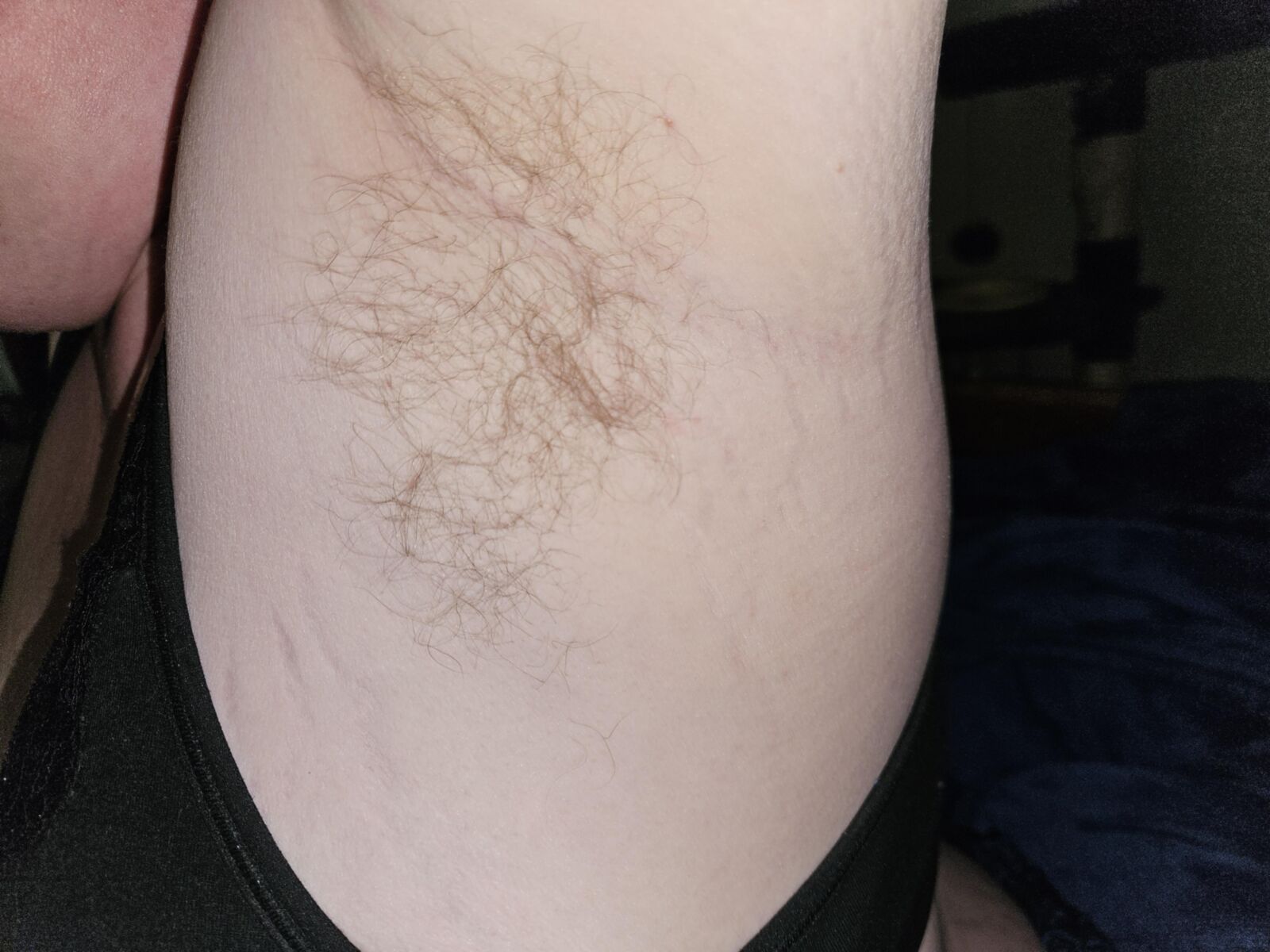 Wife's fuzzy pits.