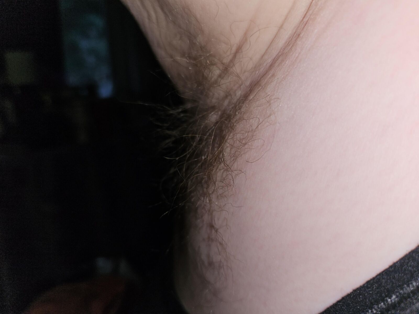 Wife's fuzzy pits.