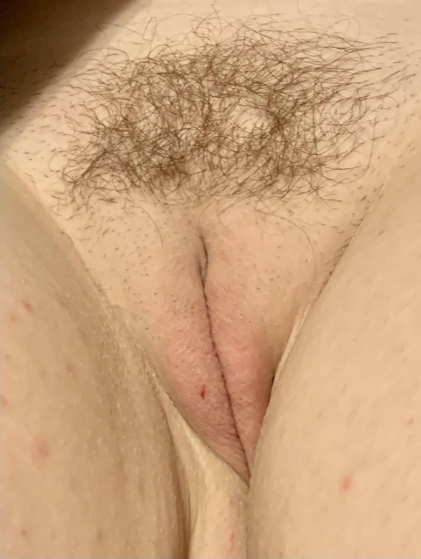 My Pussy