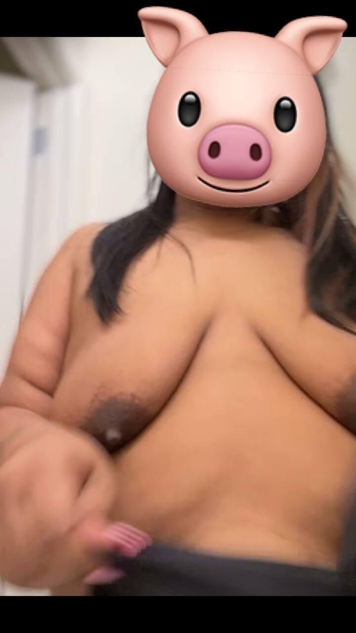 Bonito cerdo latino BBW