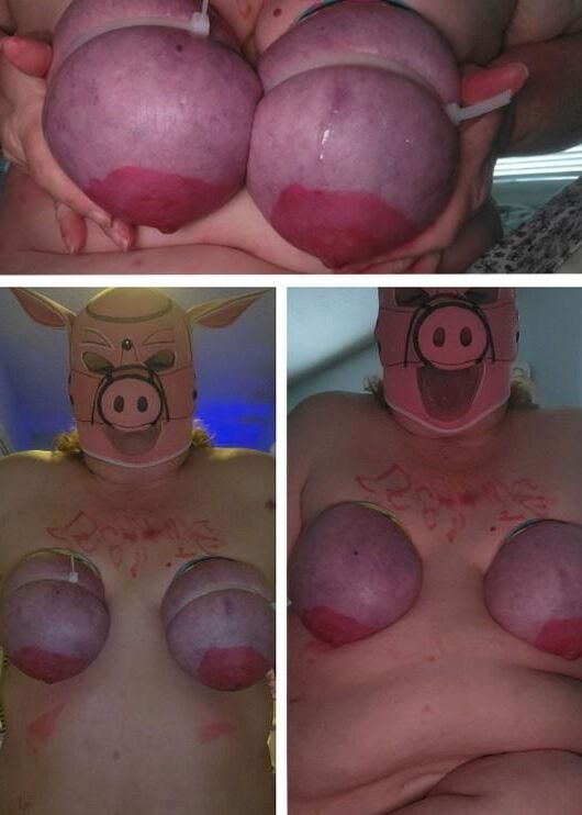 More Fat Fuck Pigs