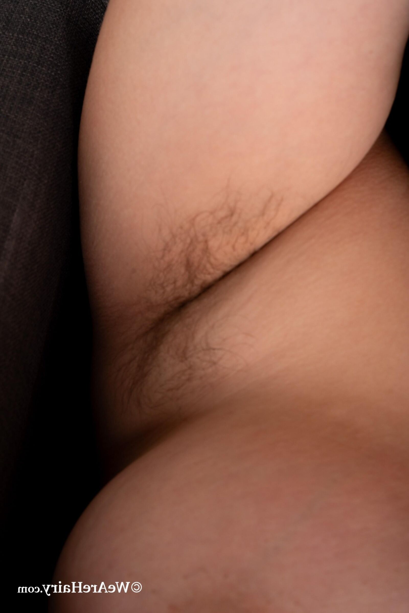 Hairy Fat Piggy NIKOL