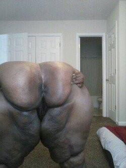 Giant Mature SSBBWs