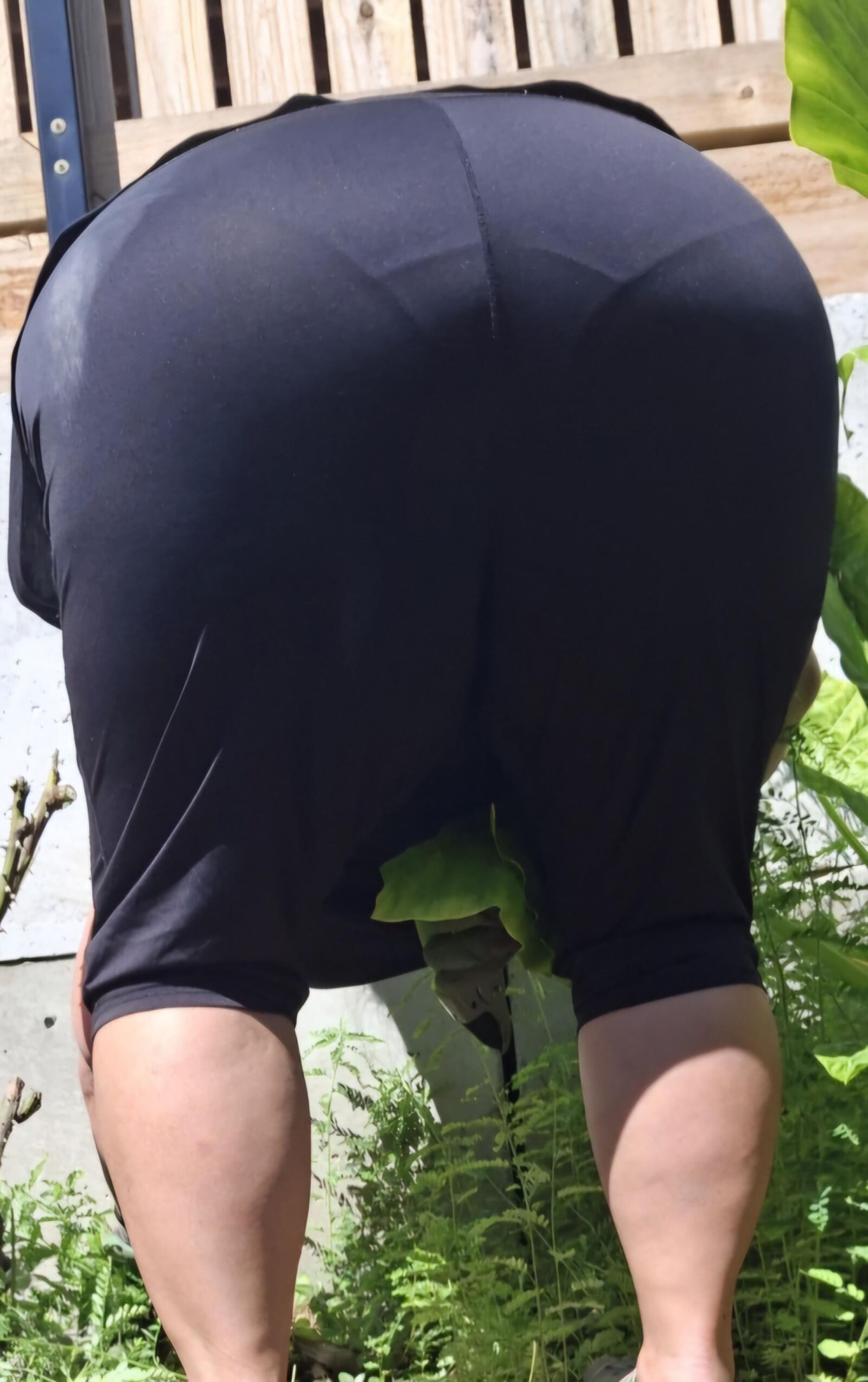 Hot fuckable bbw wife 