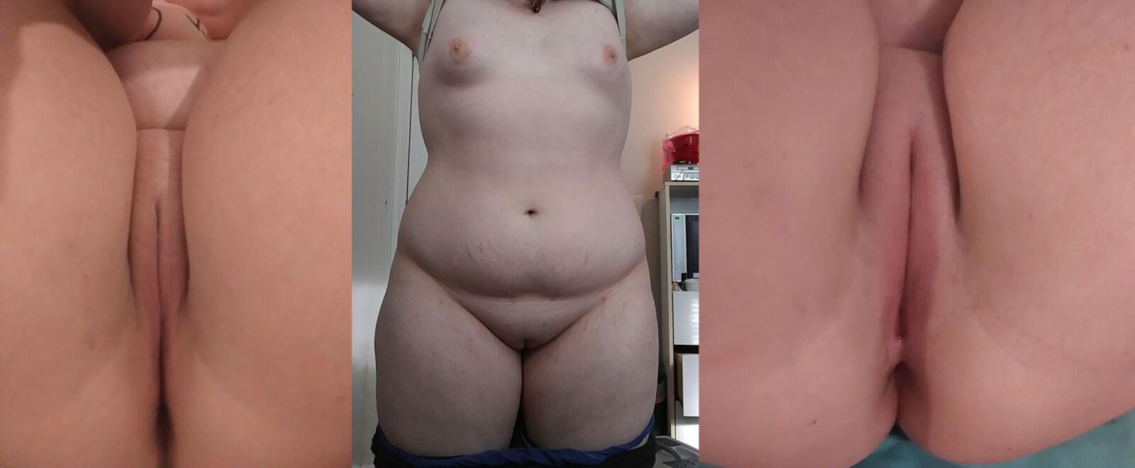 Plutmer Panorama Vol