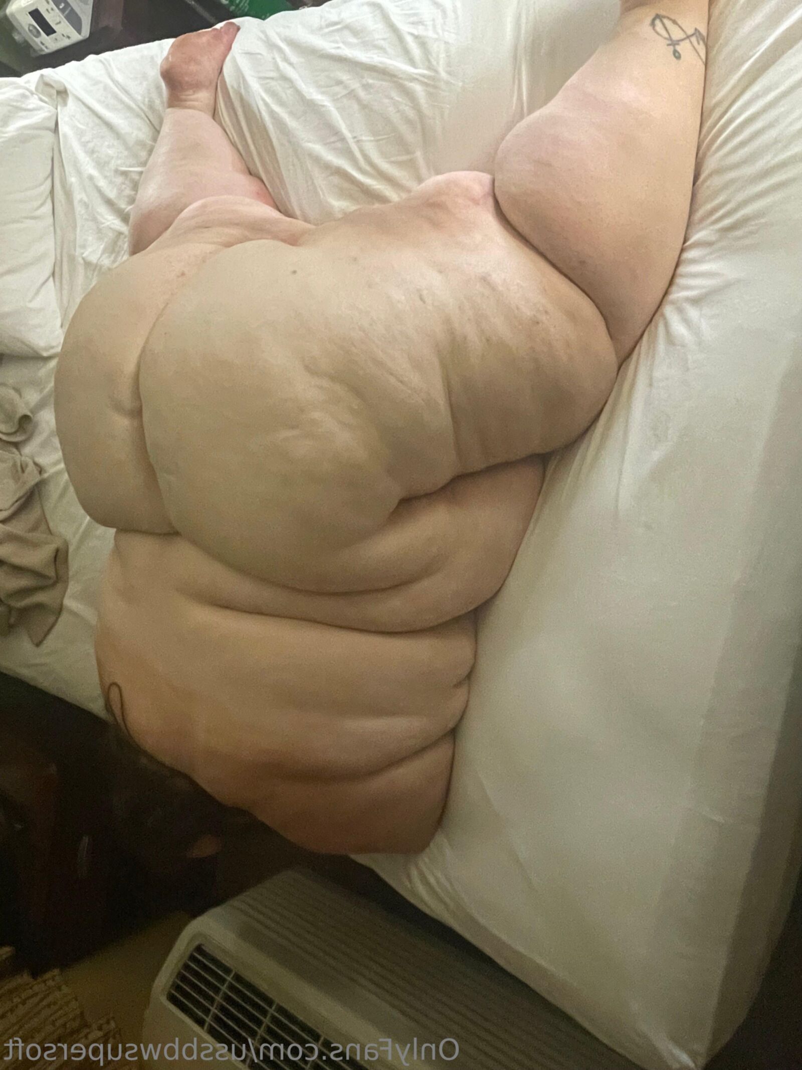 Big Fat BBW, SSBBW, USSBBW Sexy Pigs
