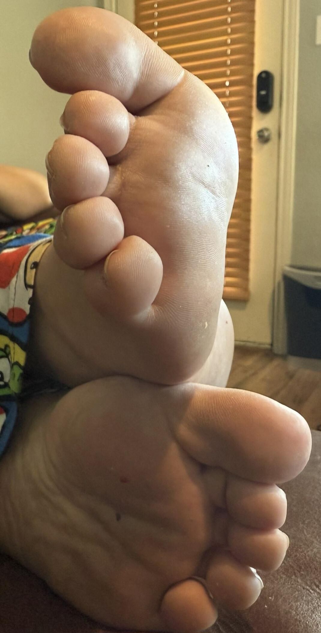 Big Fat BBW, SSBBW, USSBBW Sexy Pigs