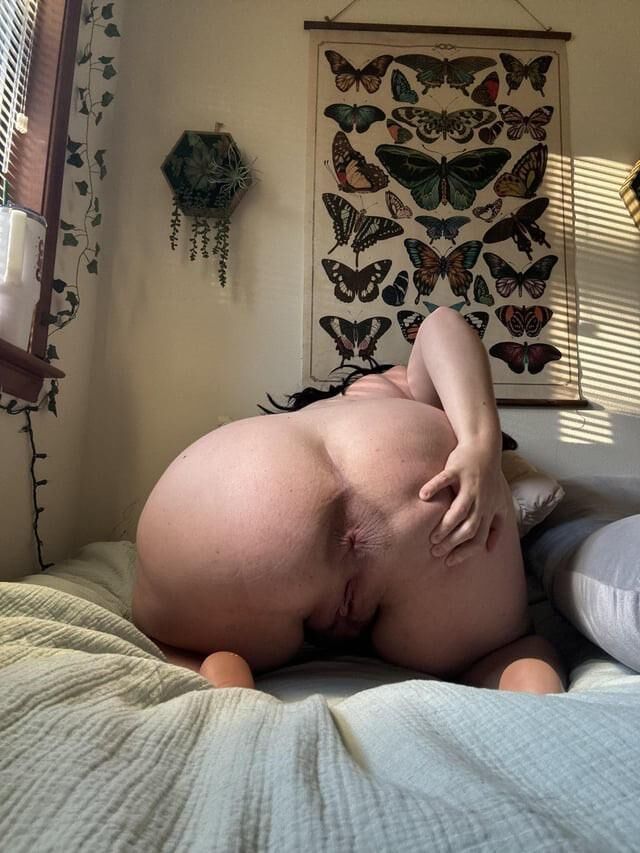 Pregnant Hiney Queen