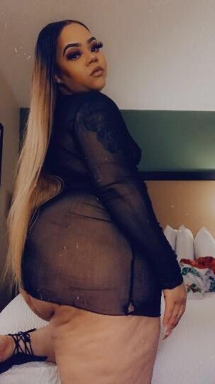 FL Gainesville Kotton Monroe Guru