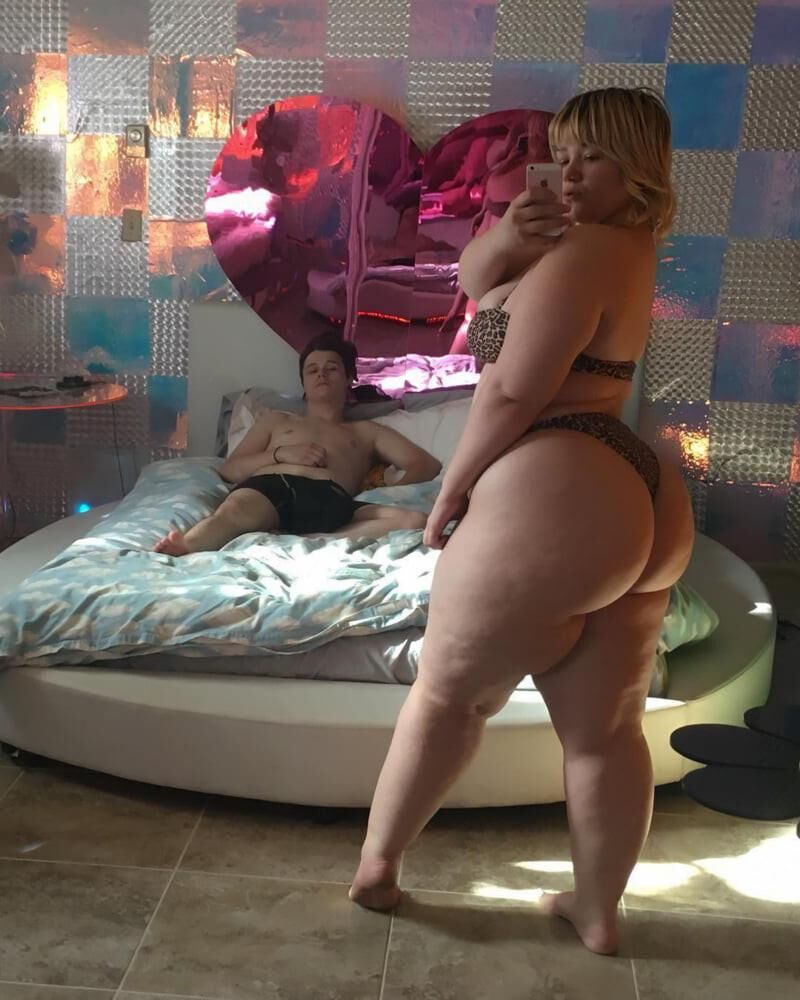Coleção de curvas premium