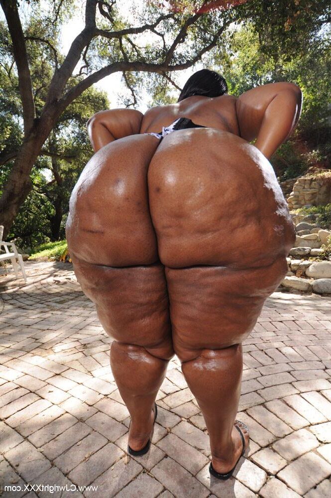 Coleção Premium BBW