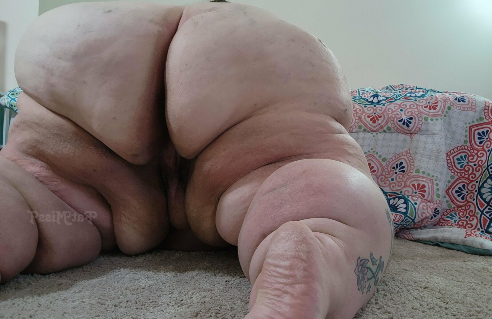 Big Fat BBW, SSBBW, USSBBW Sexy Pigs