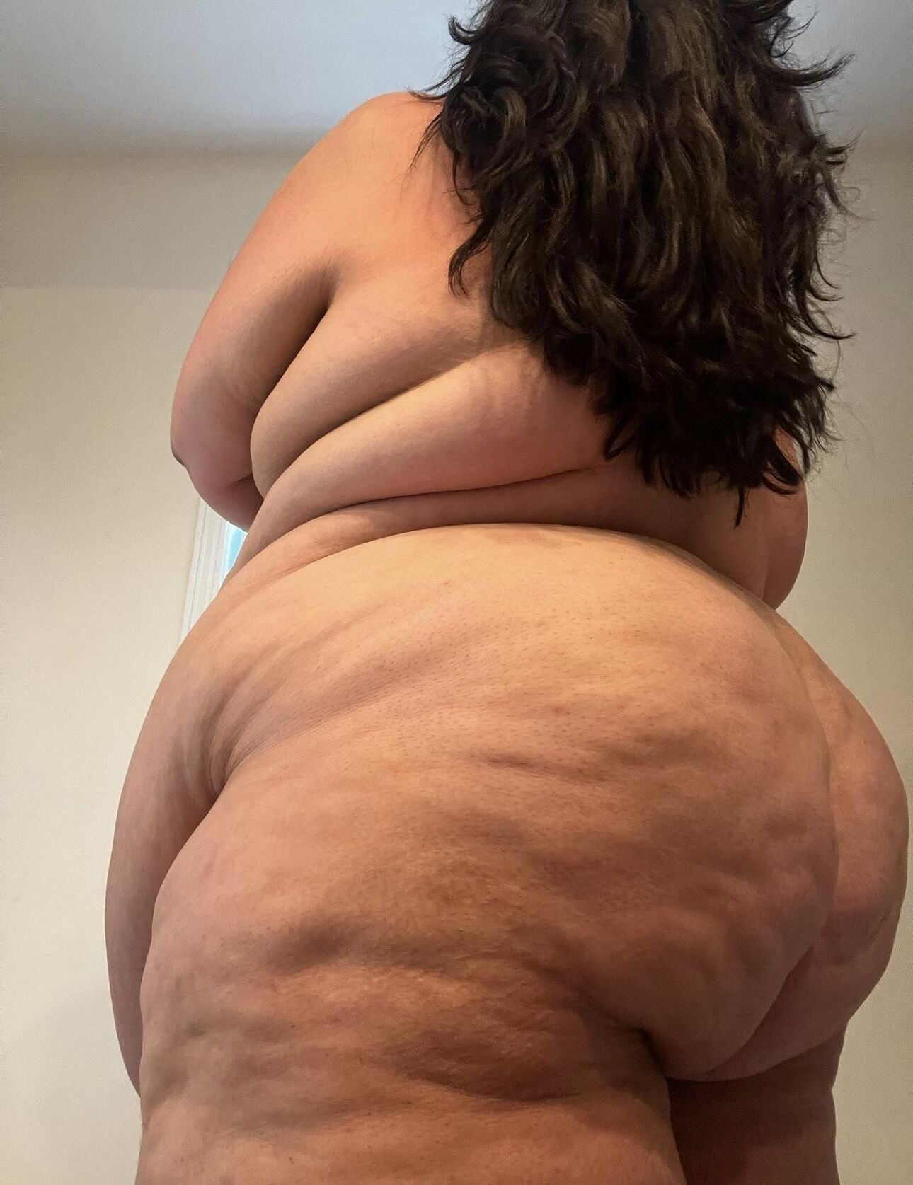 マリポサボニータ（BBW）