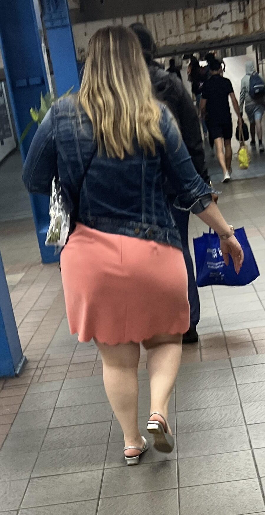 Fat Ass Transit Slut