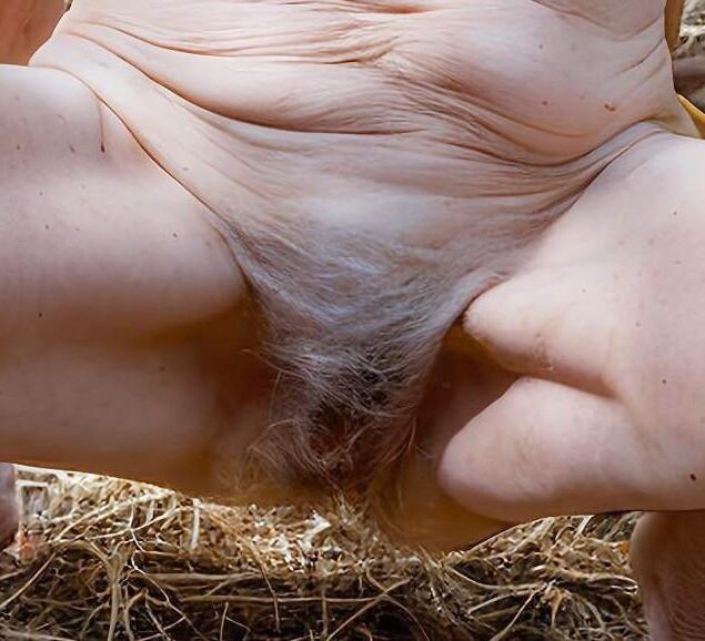 VIEILLES CHATTES 