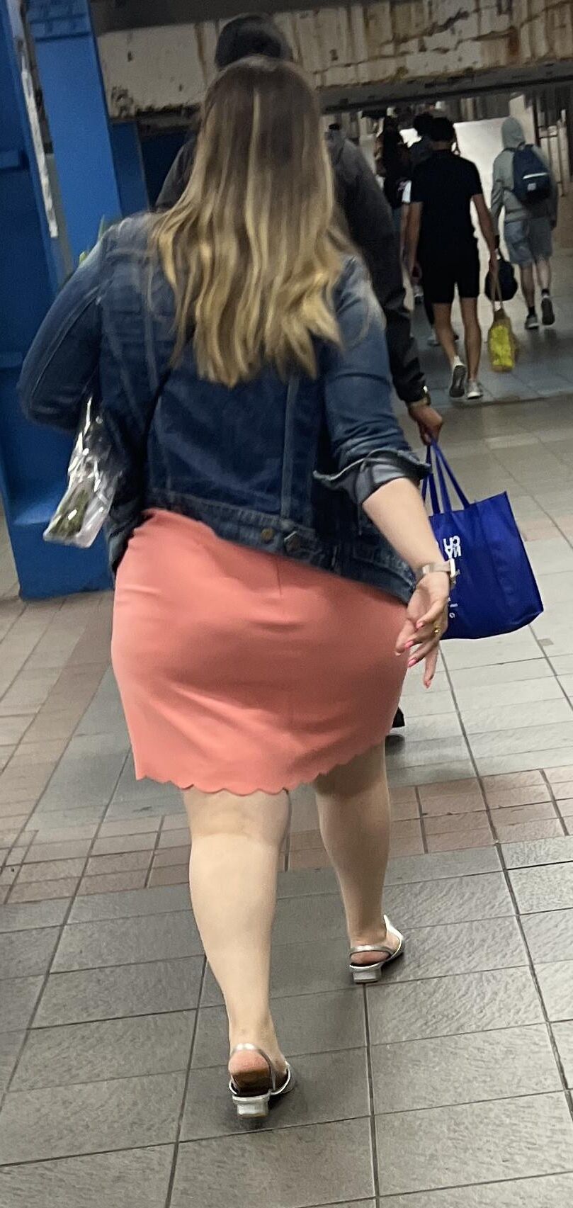 Fat Ass Transit Slut