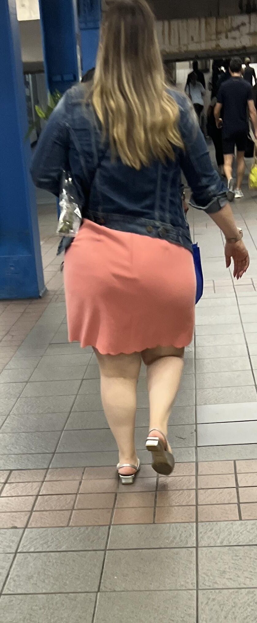 Fat Ass Transit Slut