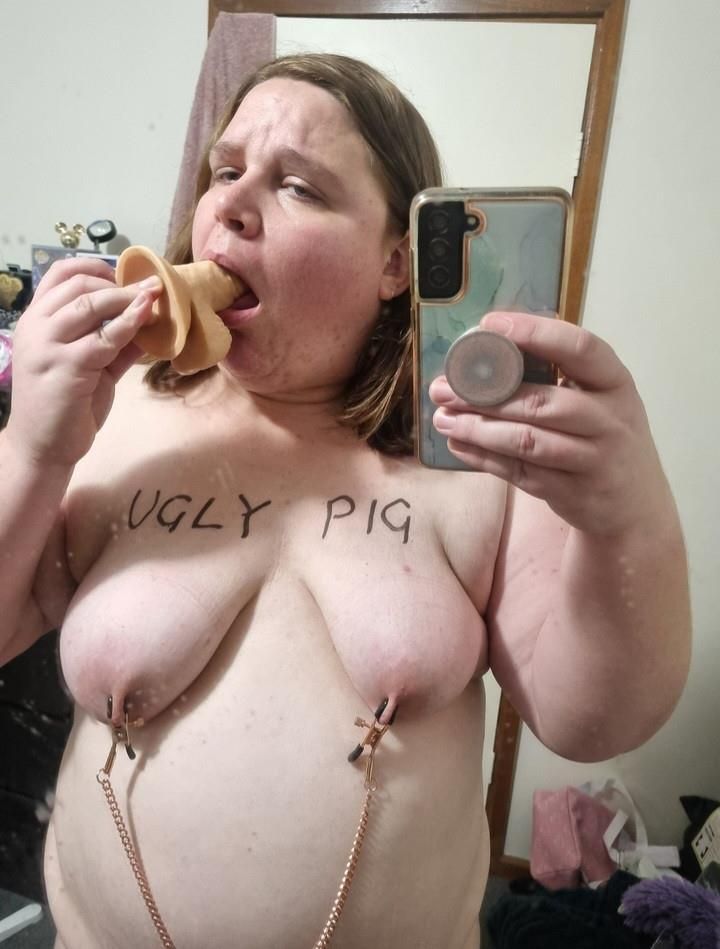 Pig 
