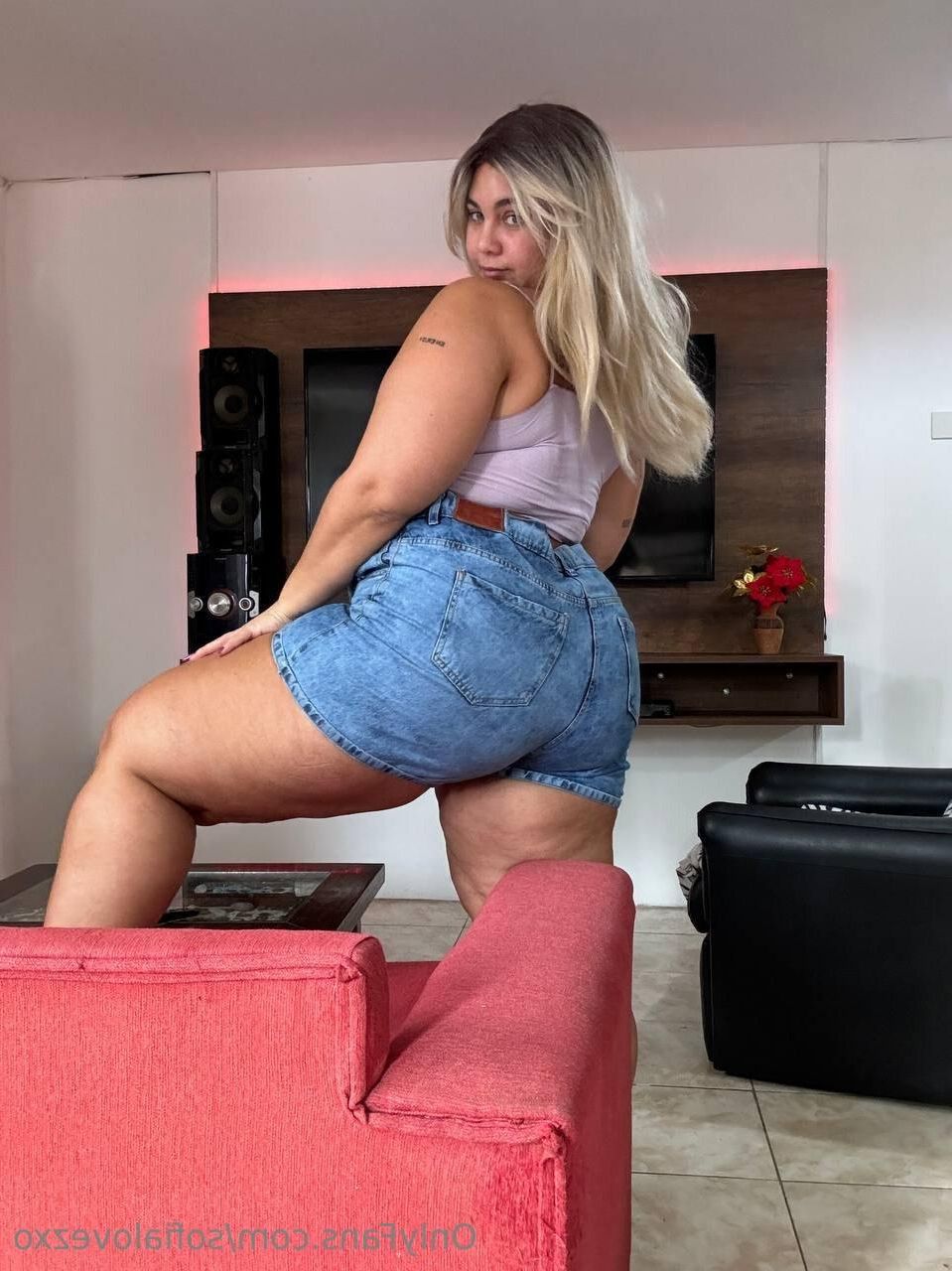 Sofia immense fest gros seins magnifiques latina bbw fille mixte hot sho