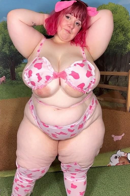 農場の脂肪豚と牛