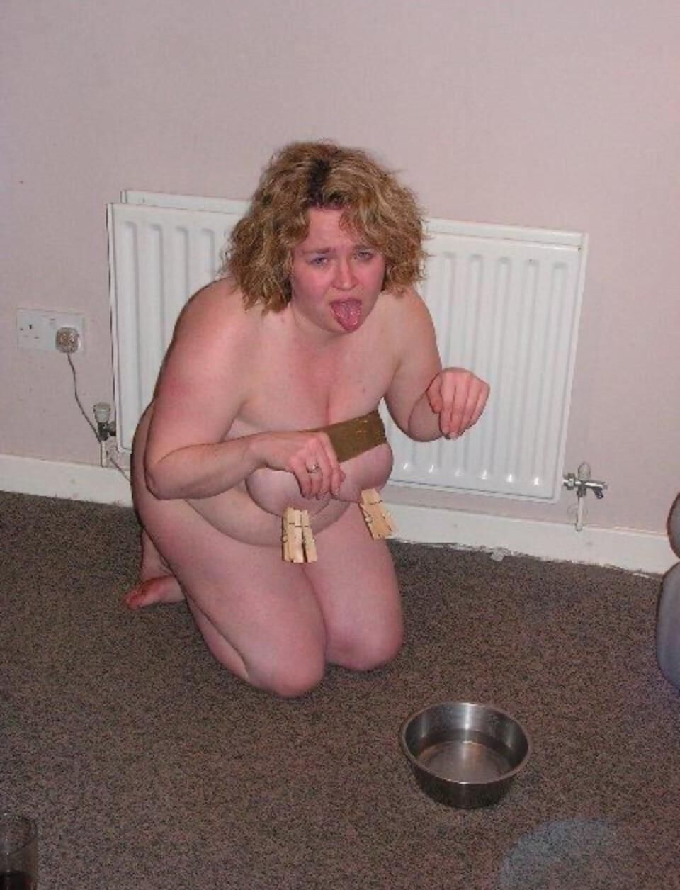 BBW脂肪奴隷の束