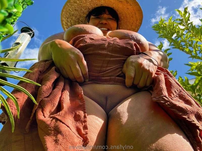 Breedable, chubby, plump
