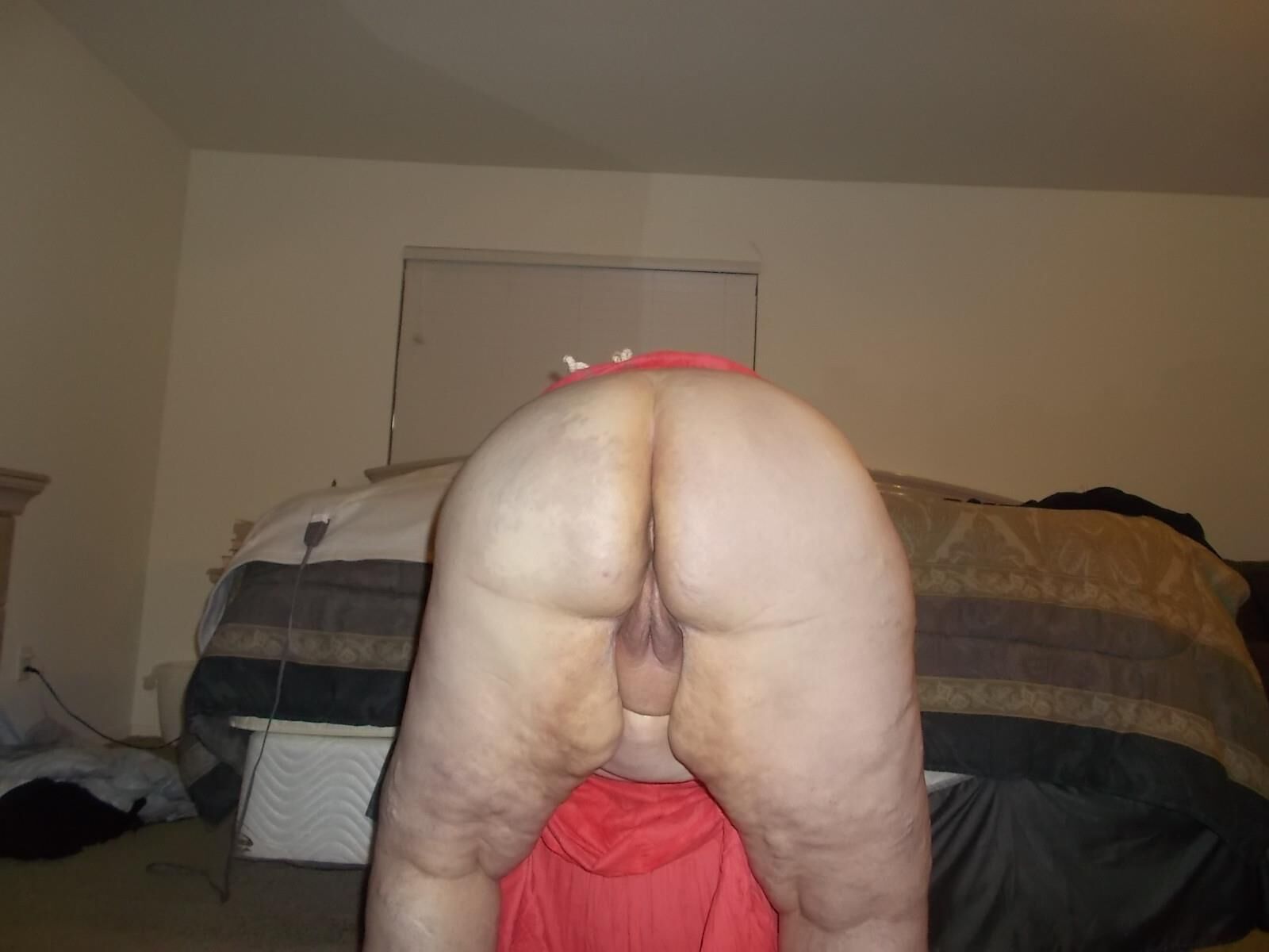 Mrs. Piggy pics 
