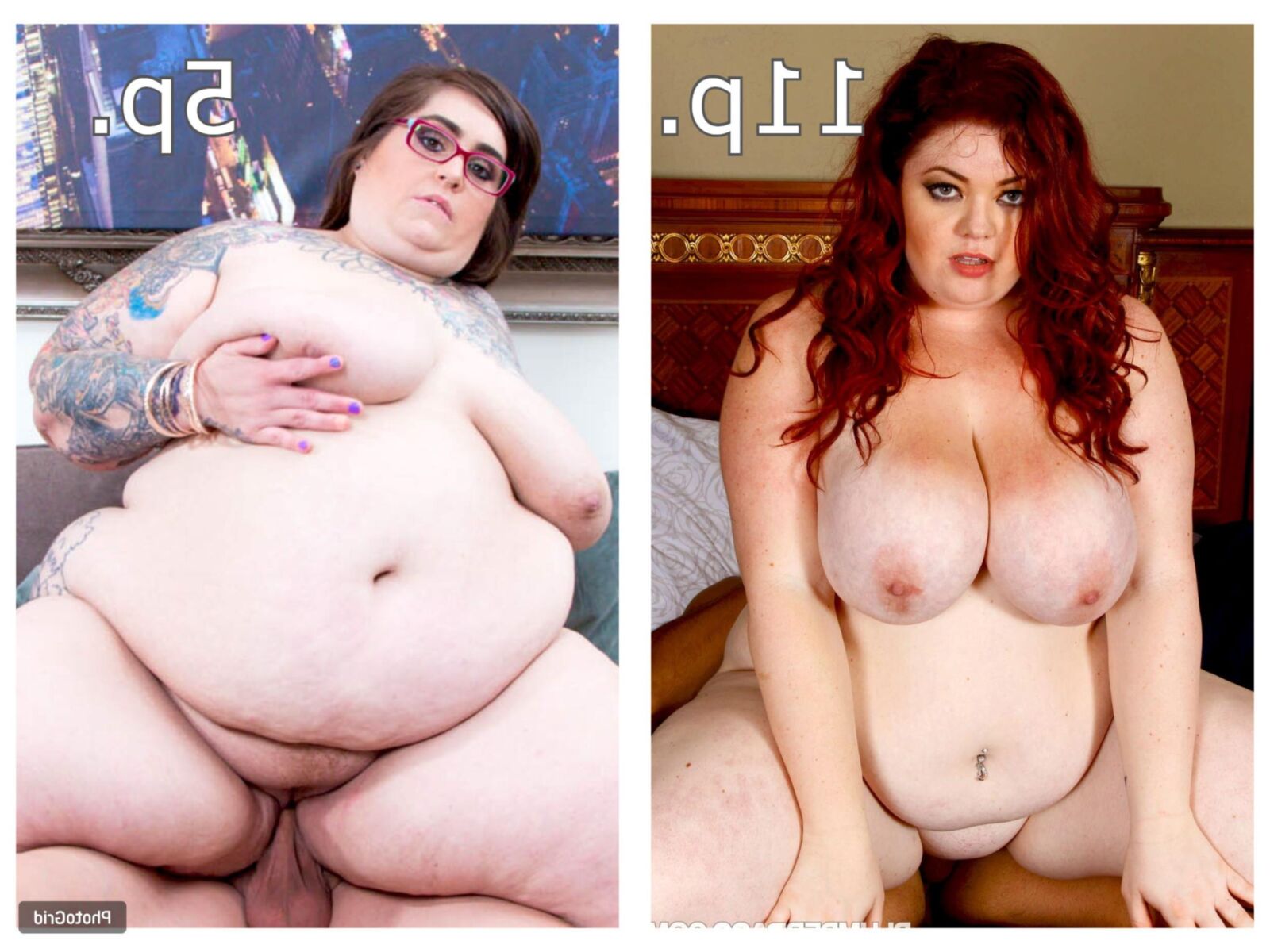 BBW bash: Results for Round 