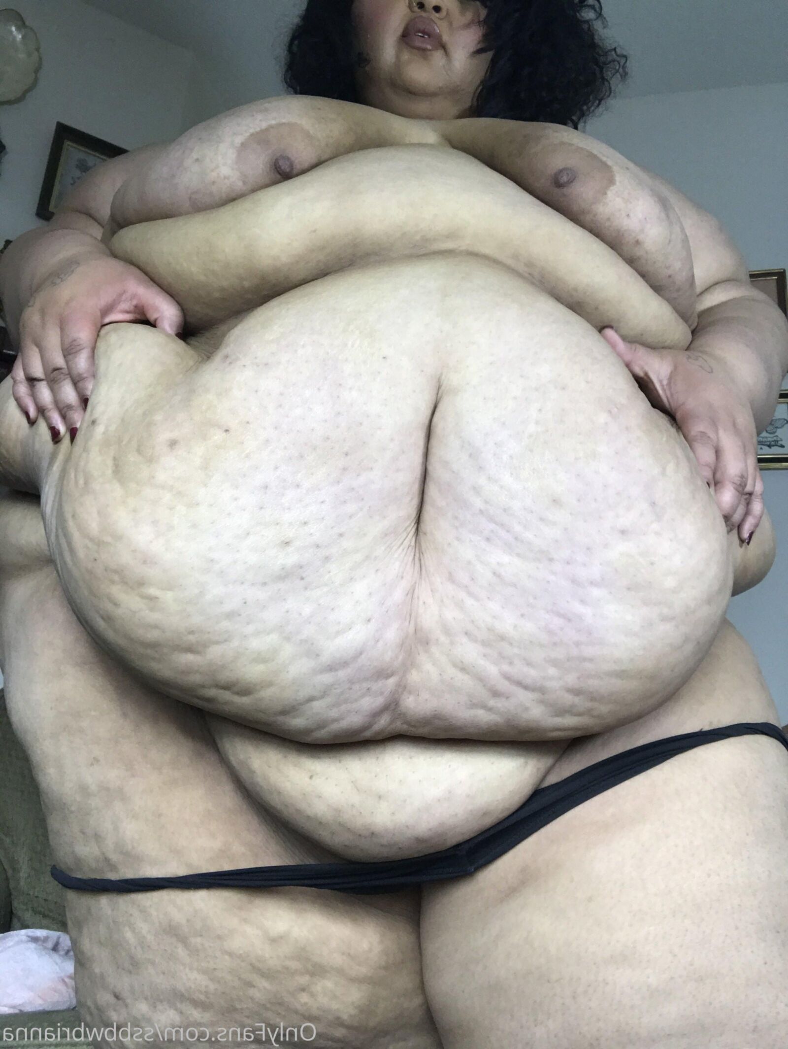 Ils ont une chatte humide sous le ventre