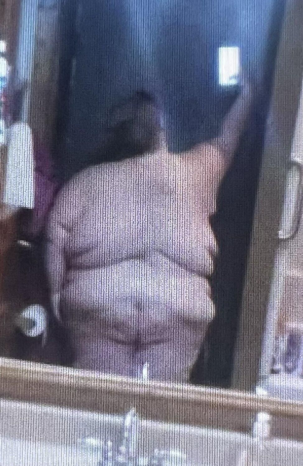 Chubby Chasers Only.