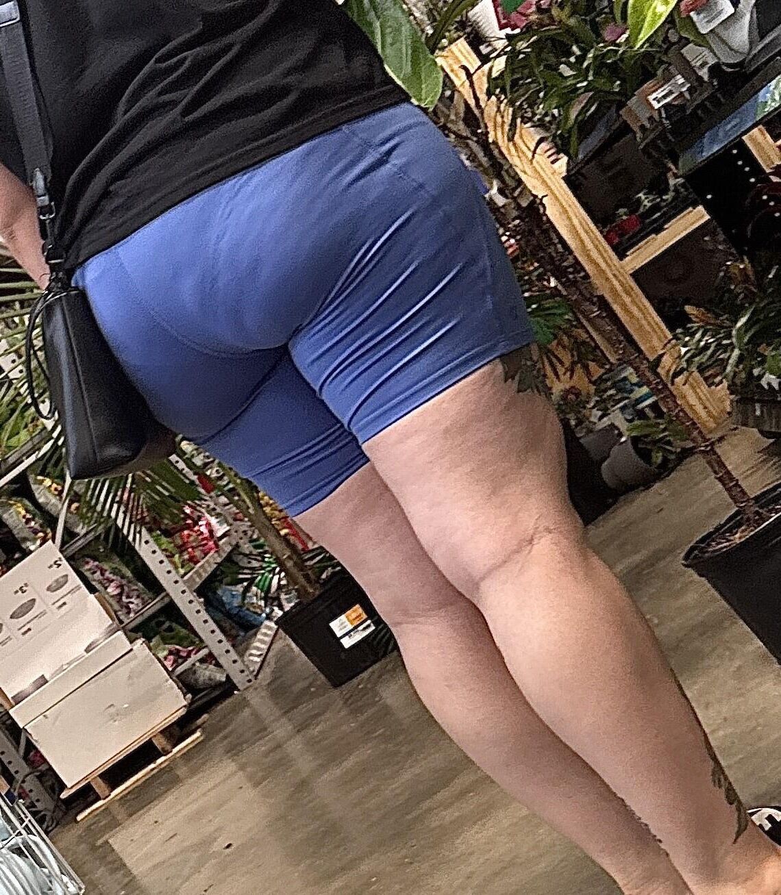 Public Displays of Ass 