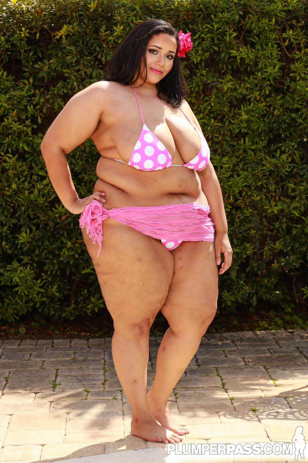 Hott and Sexy Big Beautiful Women
