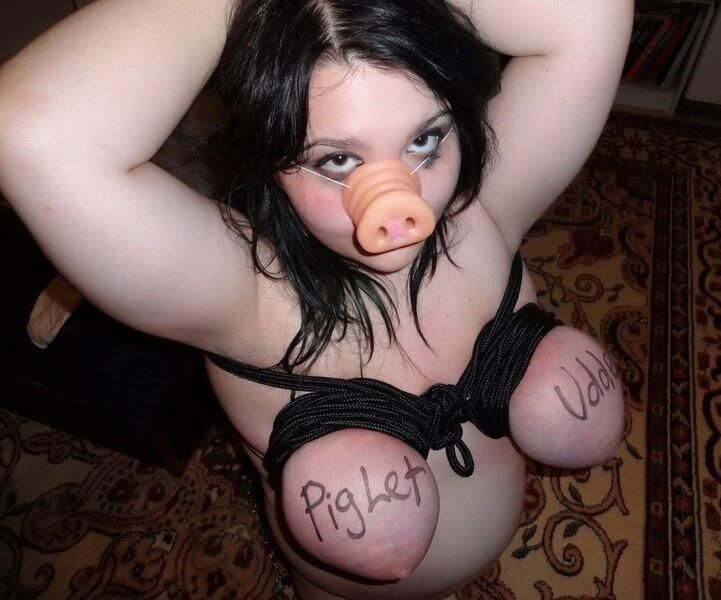 Webpigs