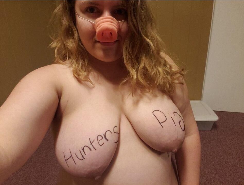 Webpigs