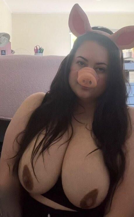 Webpigs