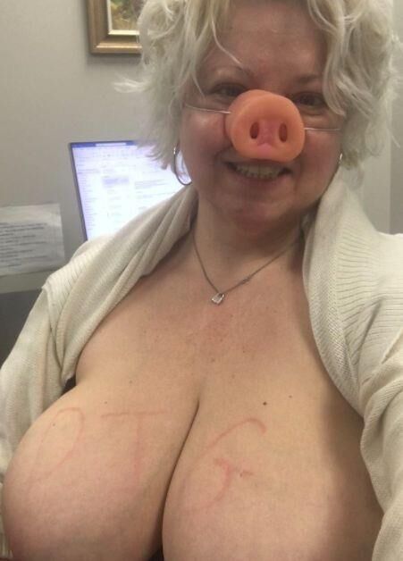 Webpigs