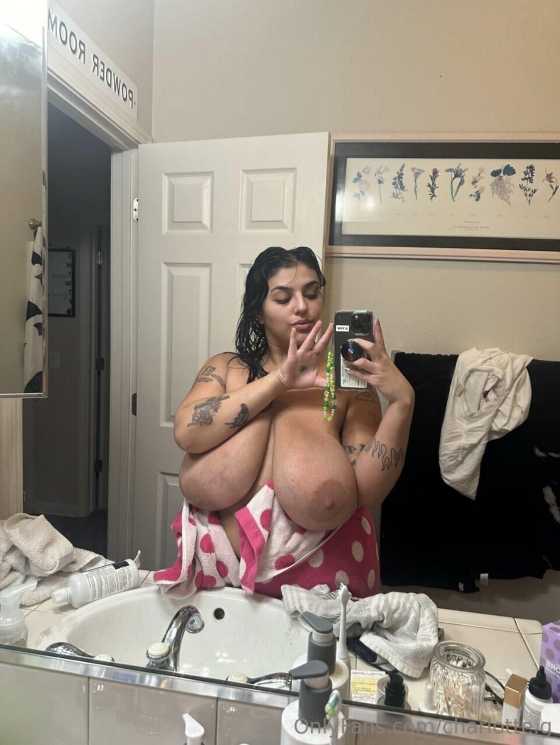 BBW Charlotte