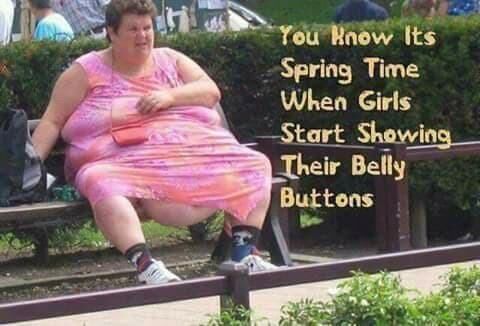 ssbbw