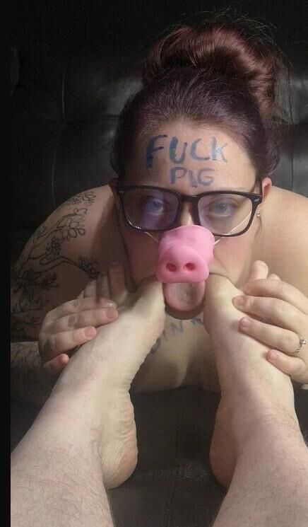 Webpigs