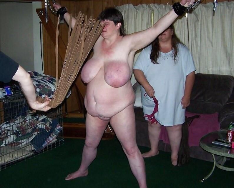BBWS en esclavitud