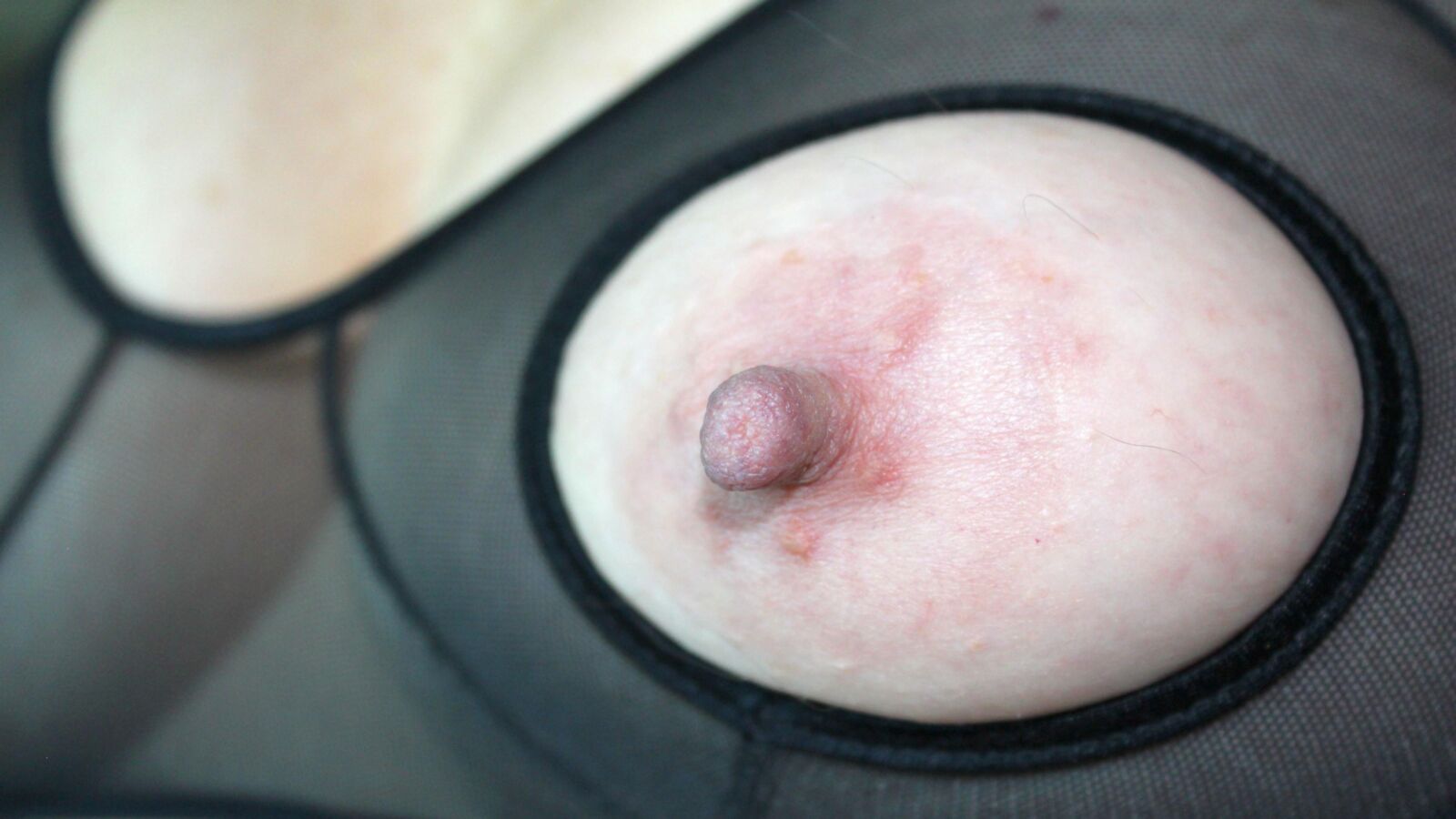 Which pic made you cum?