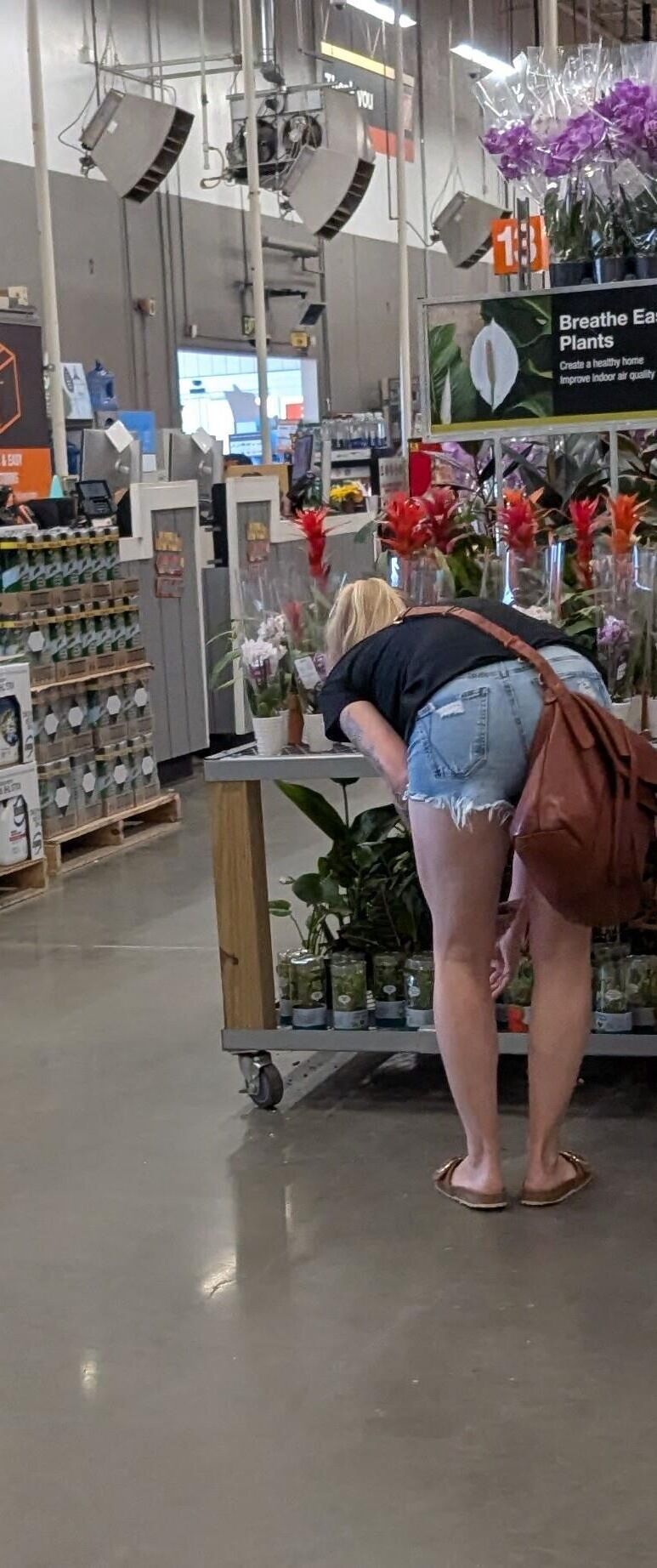 Compradores