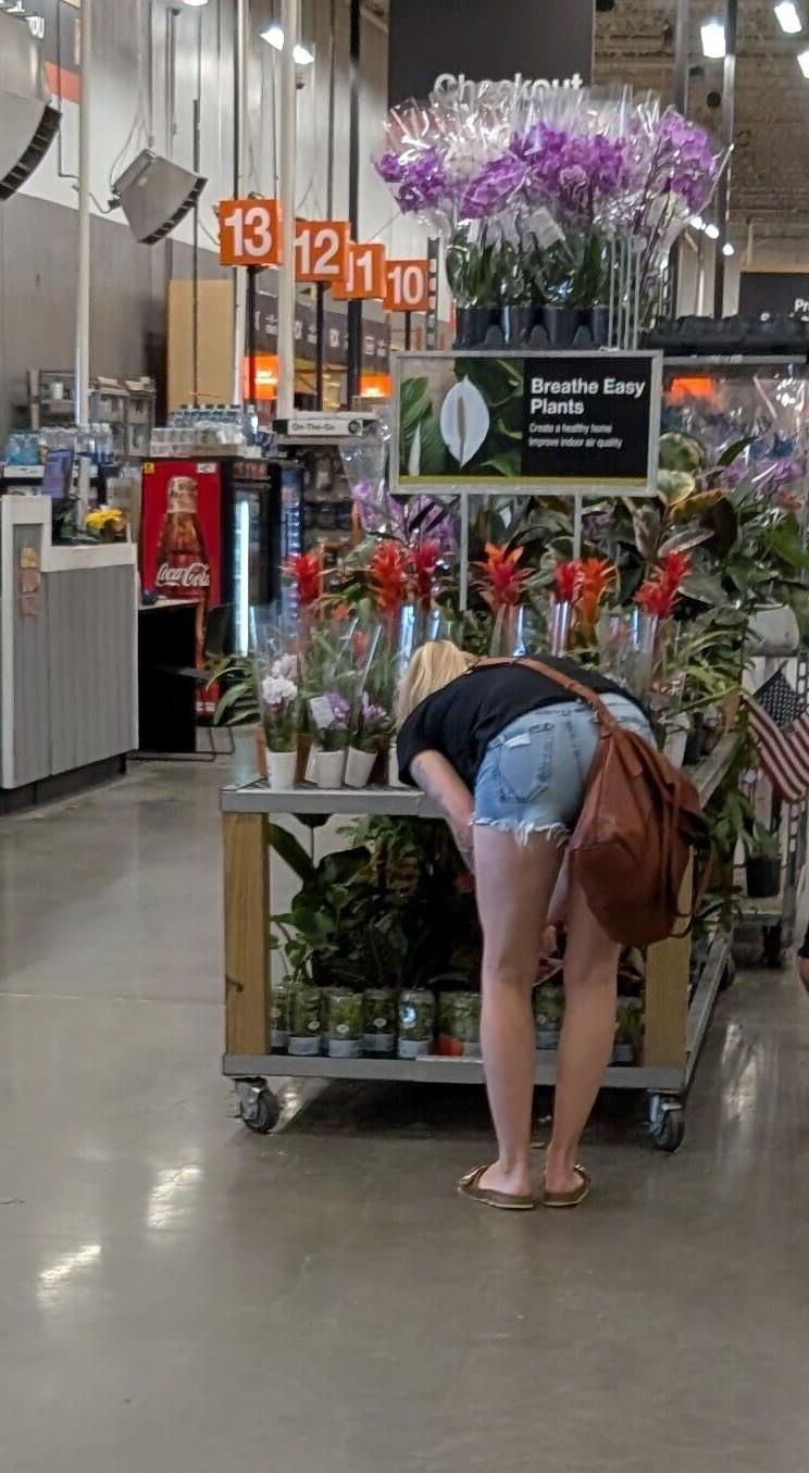 Compradores