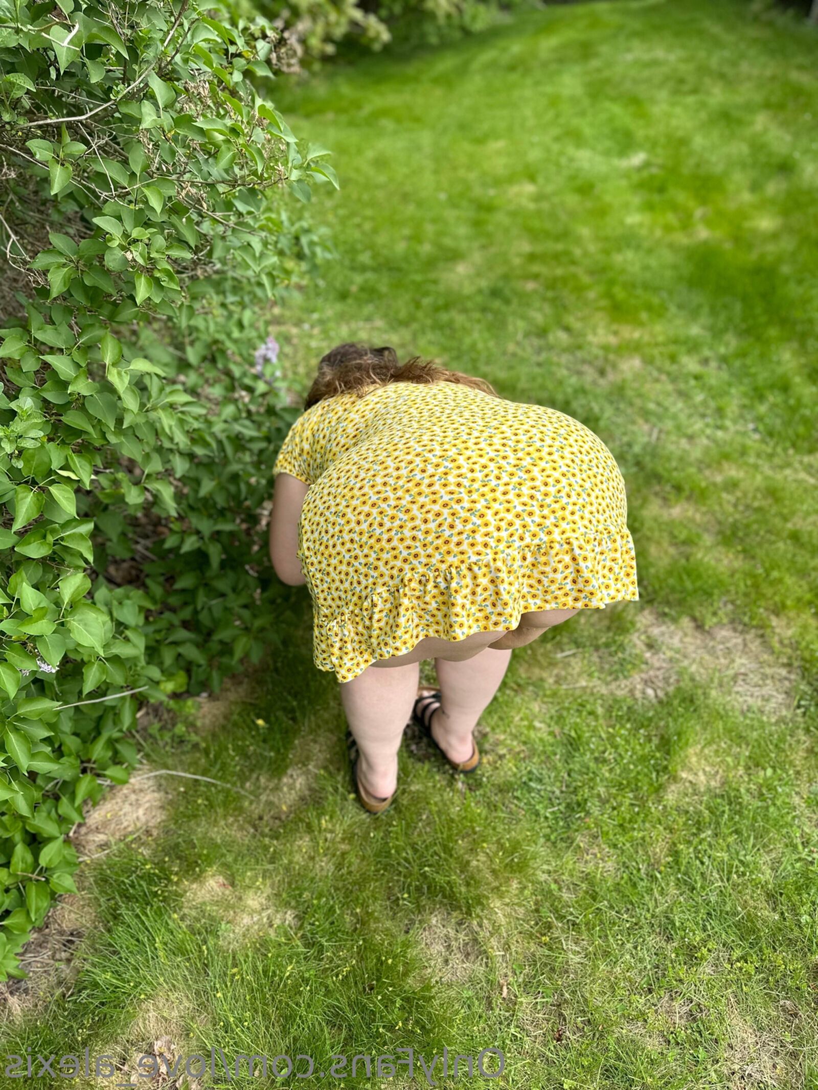 Alexis enorme bunda peitos grandes beleza bbw milf com óculos misturados sho