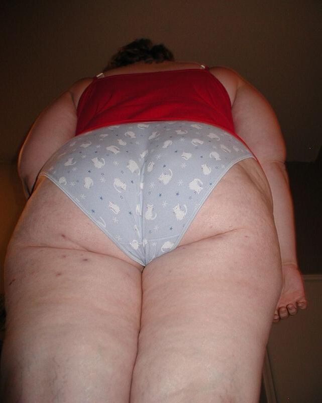 Prlendide Jeune Truie Avec GROSSES MAMELLES OUVERTE POULIE SAILLIE