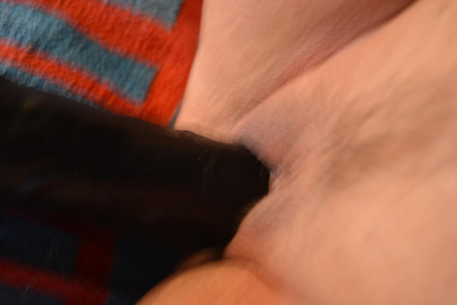 BBW