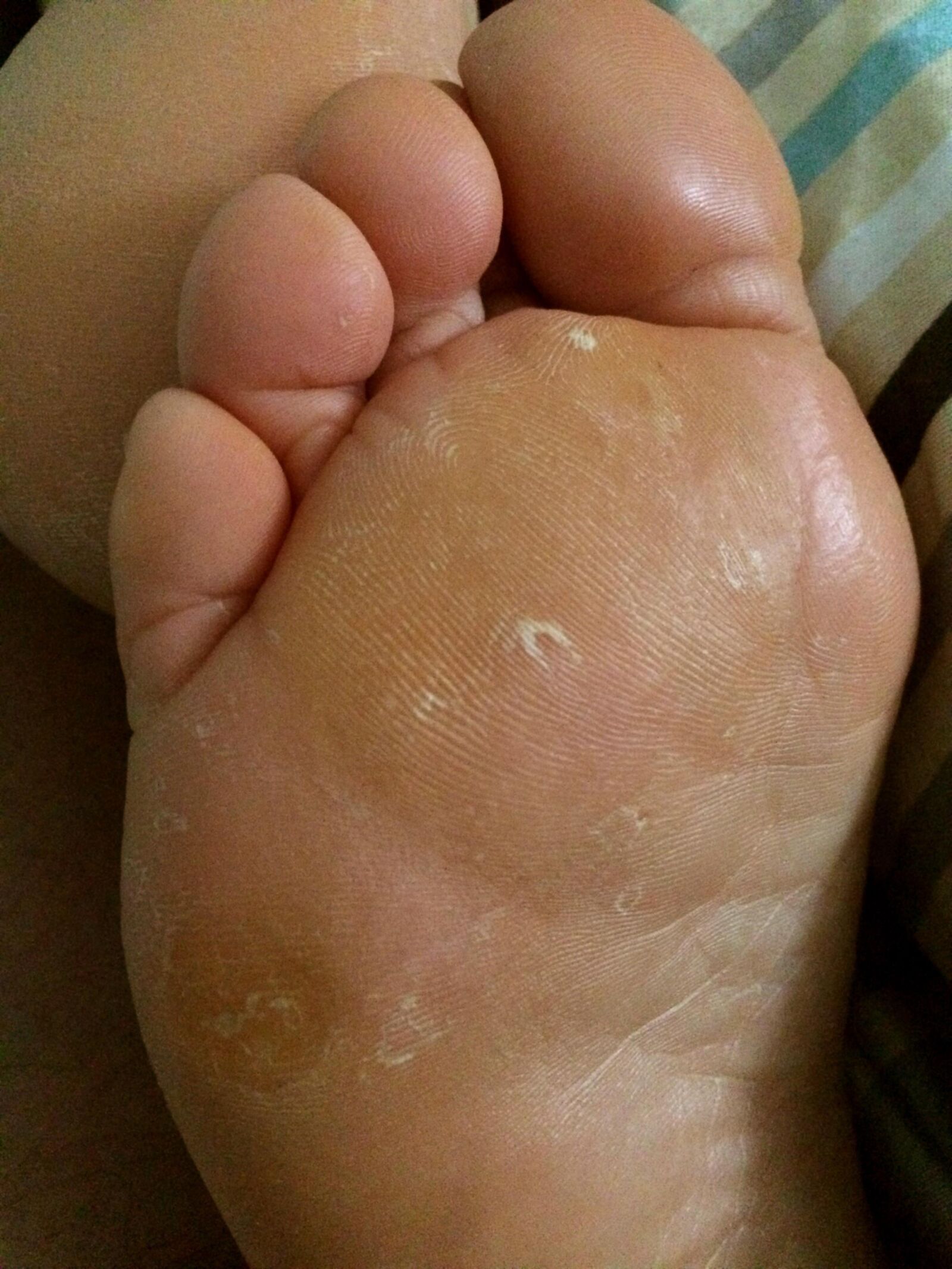 Big fat bbw, ssbbw, ussbbw sexy pigs 